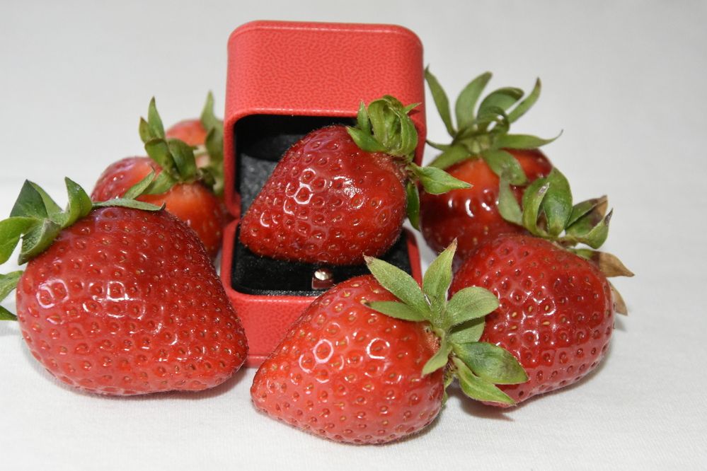 Photograph by Юлия Ю.