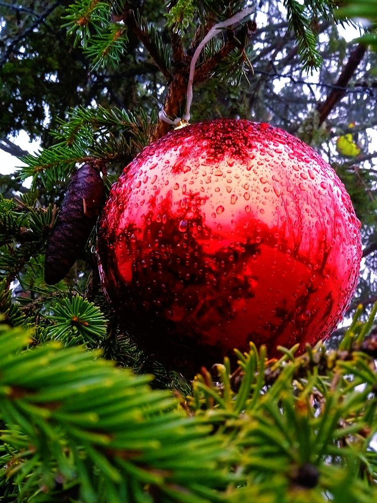 Photograph by Наталья Назаренко