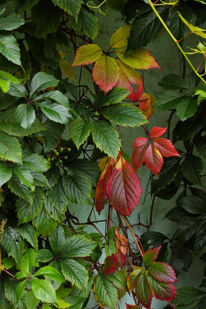 Уже не лето, ещё не осень