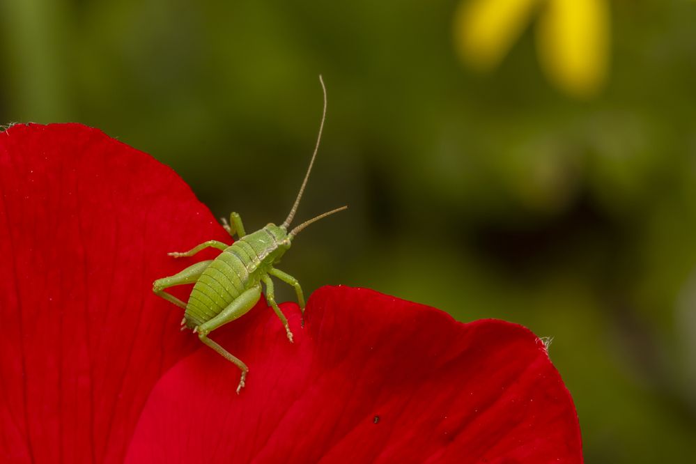 Фотография автора Nikolay Tatarchuk