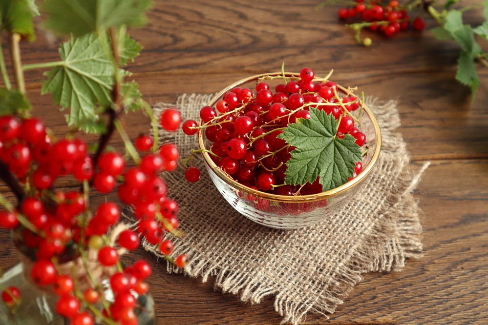 Photograph by Мария Самолевич