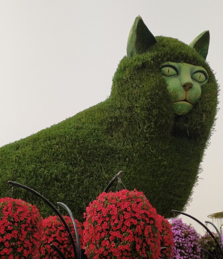 Фотография автора Елена Александрова