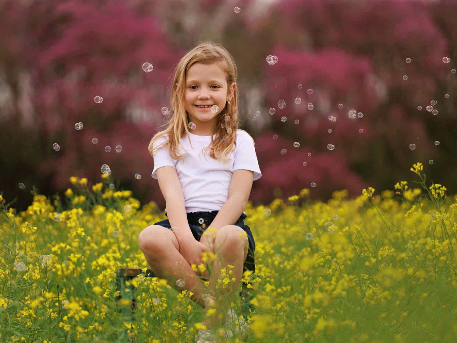 Photo #12744966