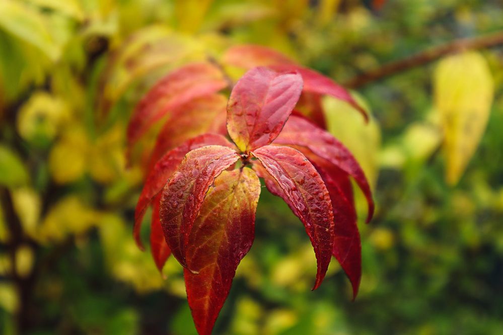 Photograph by Мария Самолевич