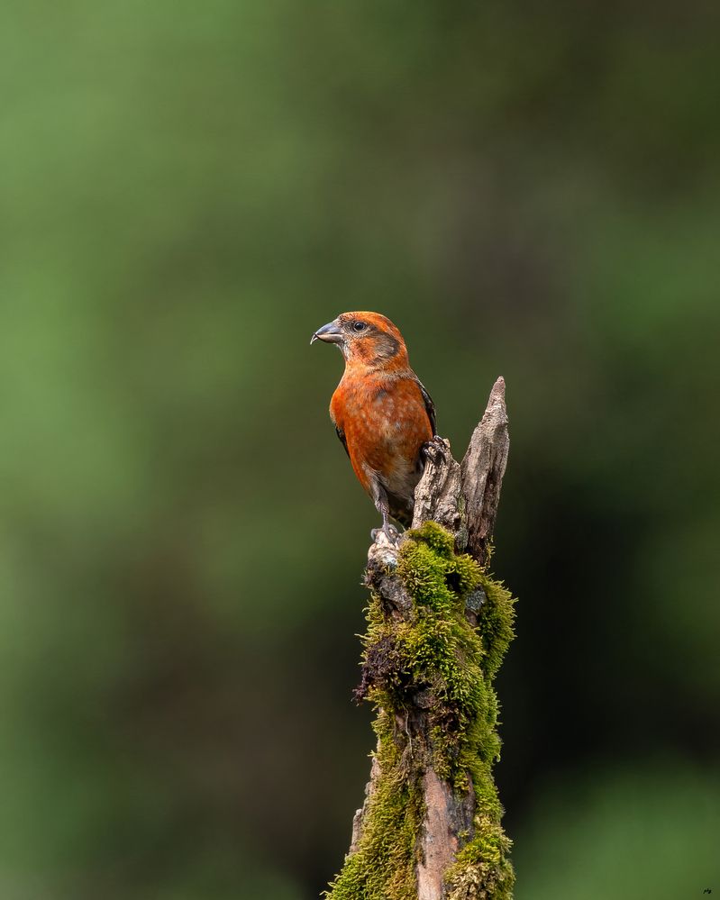 Photograph by Prabhat Ghosh