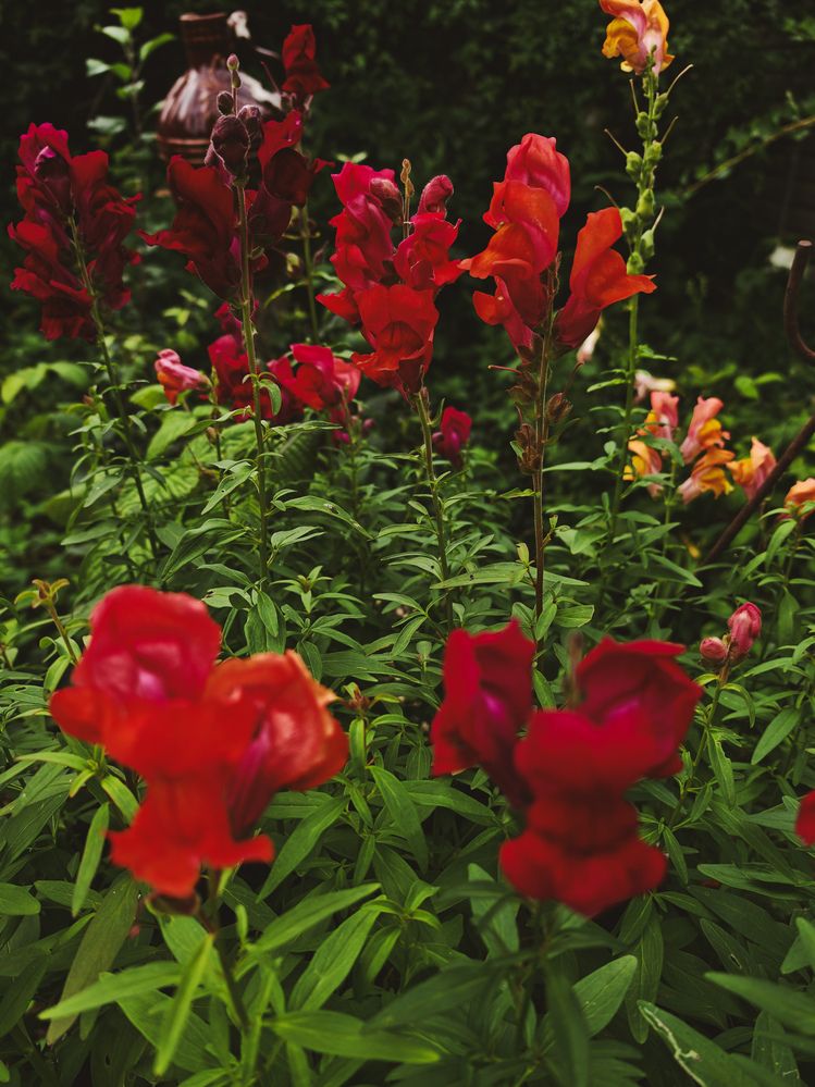 Photograph by Даниил Зайцев