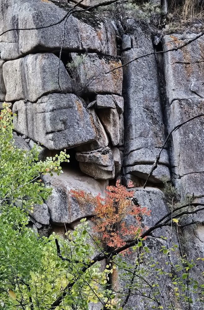 Photograph by Наталья Баранова