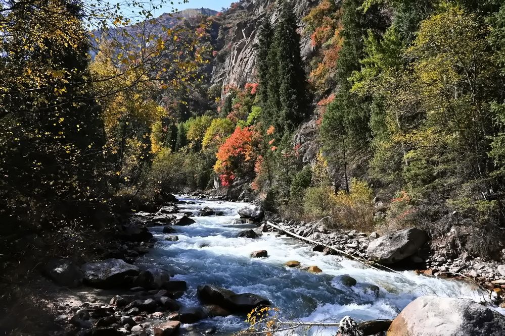 Photograph by Наталья Баранова