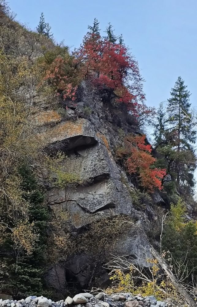 Photograph by Наталья Баранова