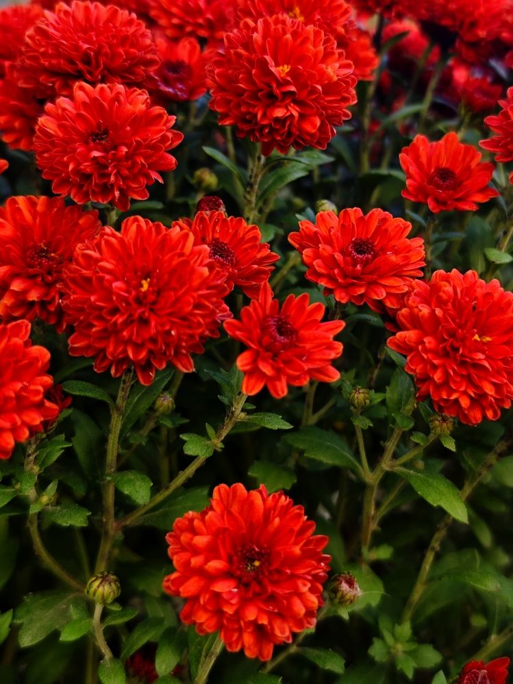 Photograph by Ирина Землячева