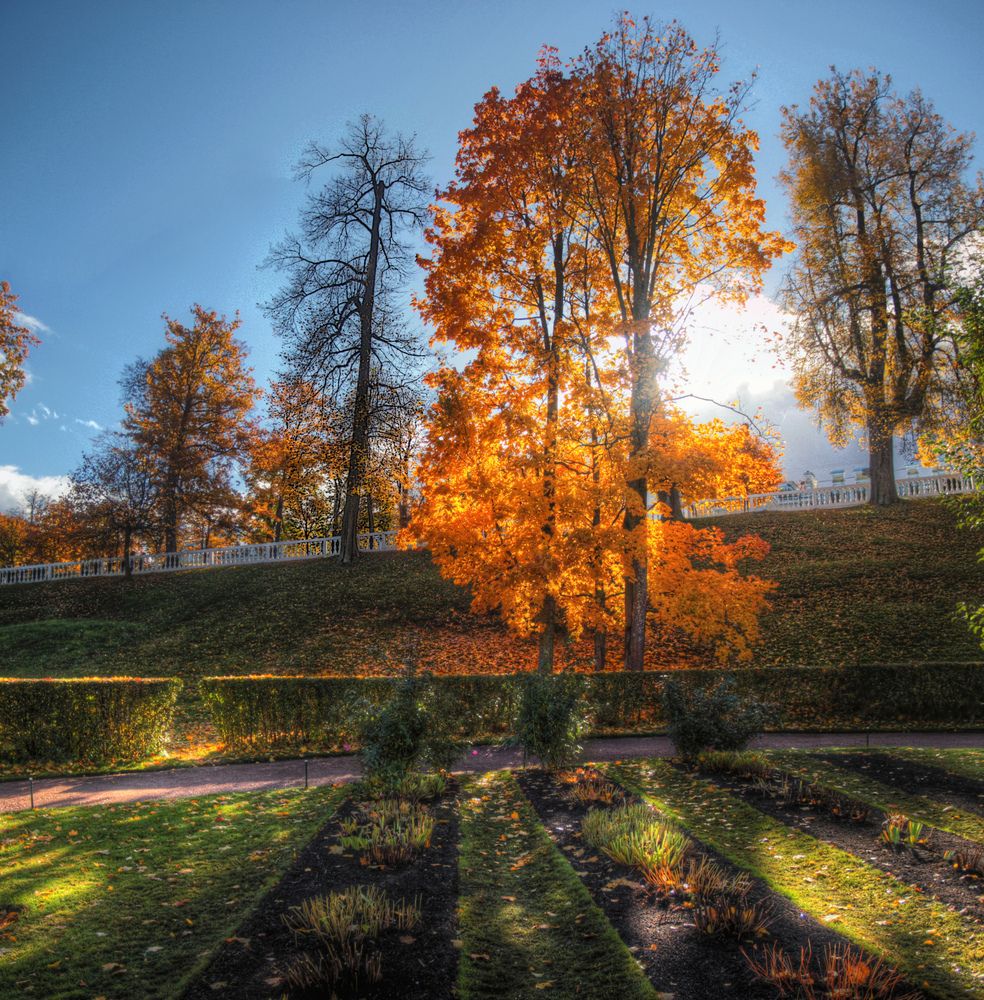 Photograph by Сергей Григорьев