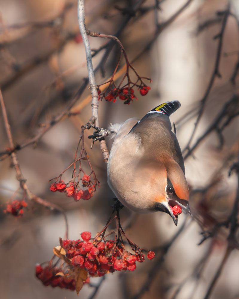 Photograph by Олег Белан