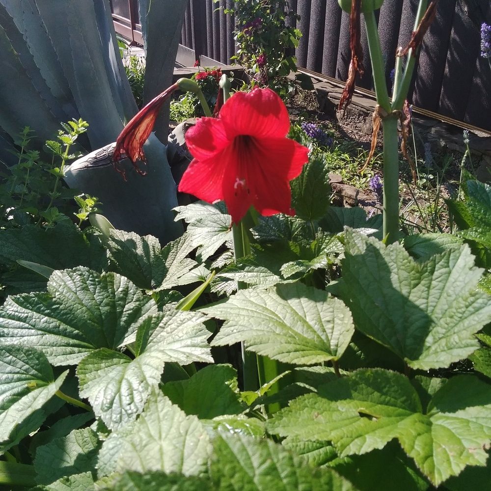 Photograph by Васильева Львовна