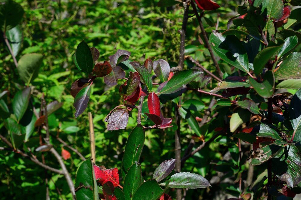 Photograph by Владимир Мигонькин