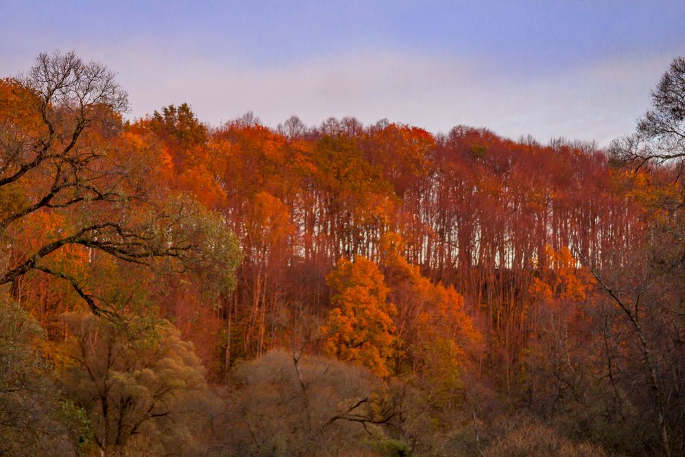 Photograph by Ольга Заповедная