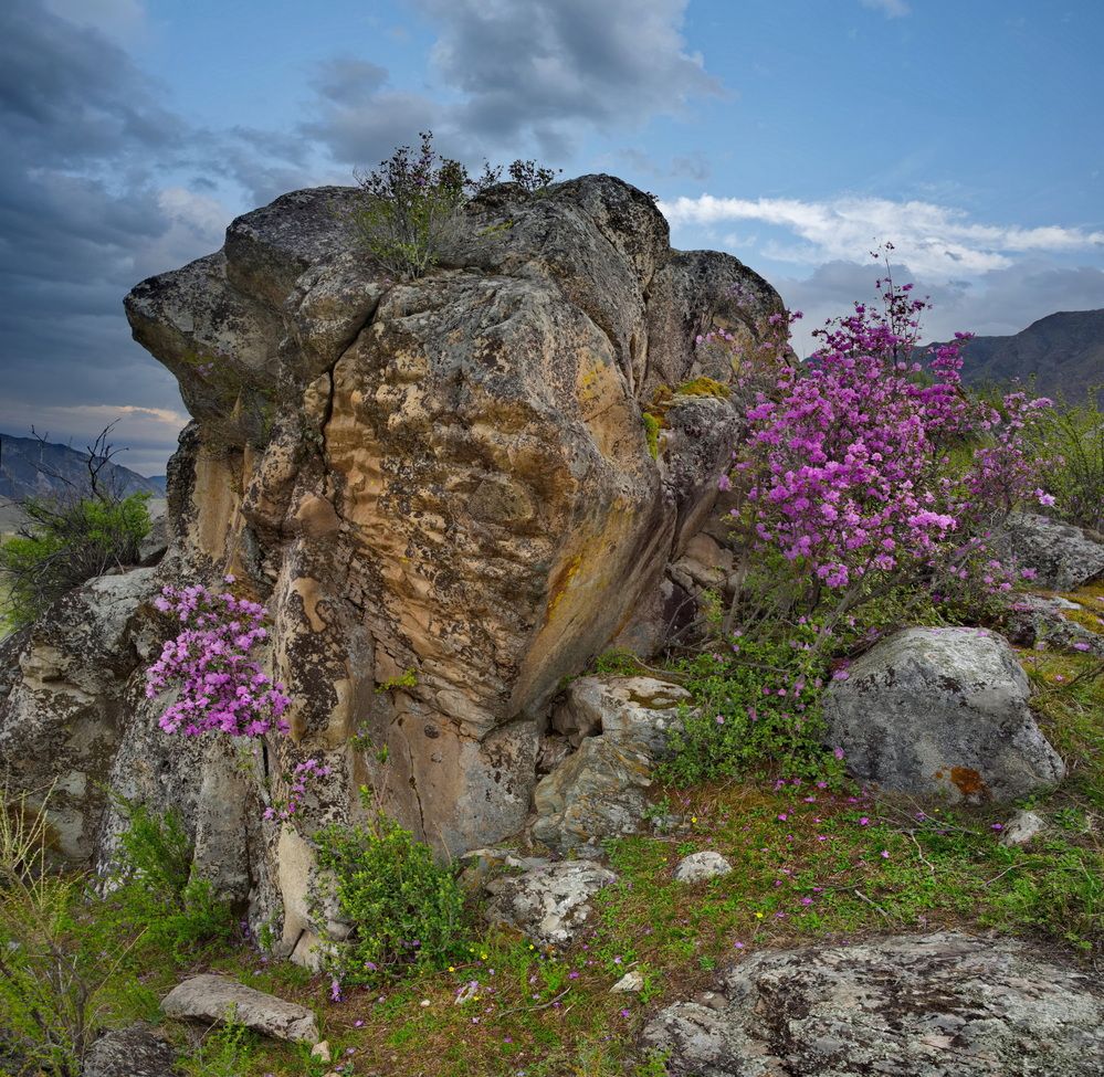 Photograph by Александр КАИ