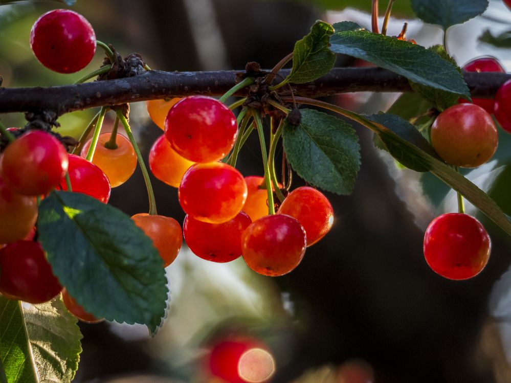 Photograph by Надежда Михайлина