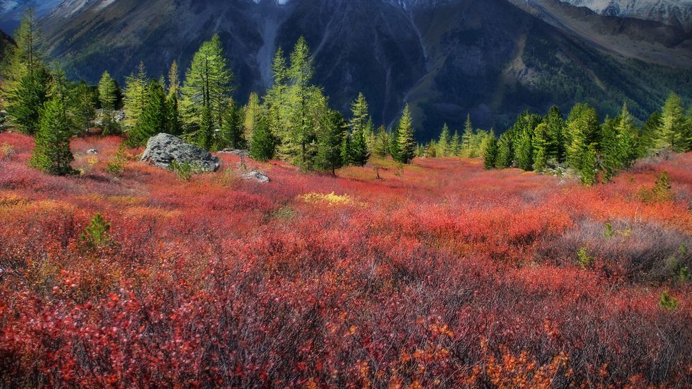 Photograph by Никита Костылёв