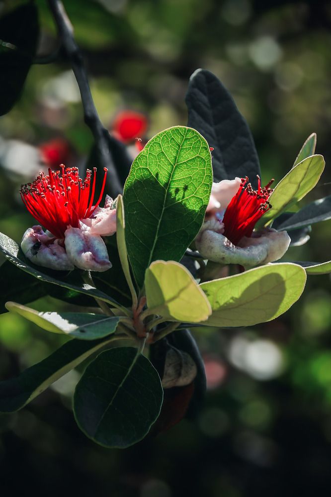 Фотография автора Мария Тюрина