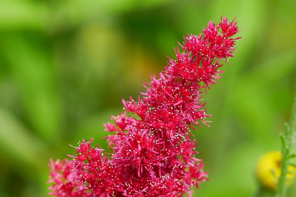 Photograph by Владимир Лобанов