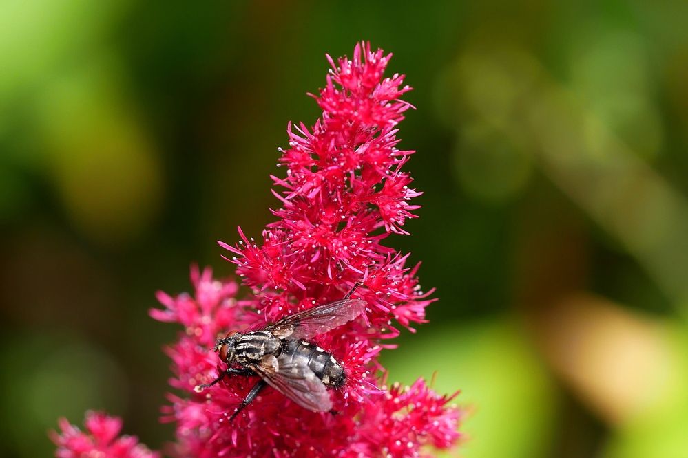 Photograph by Владимир Лобанов