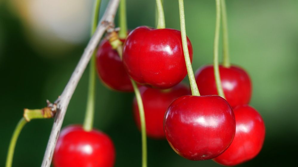 Photograph by Владимир Лобанов