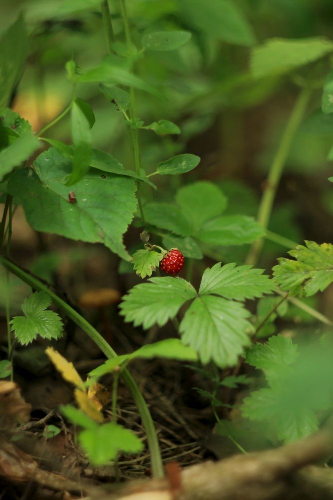 Photograph by Антон Иванов