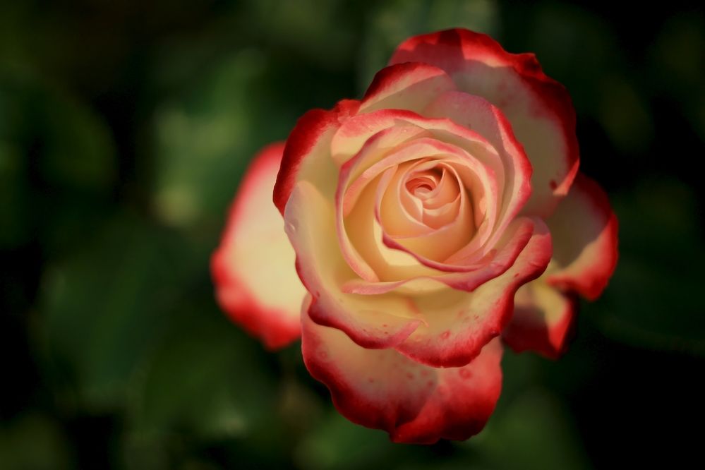 Photograph by Антон Иванов