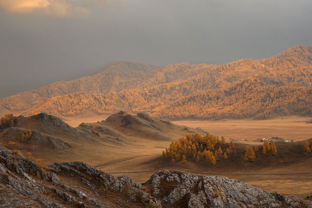 Photograph by Юлия Шустерова