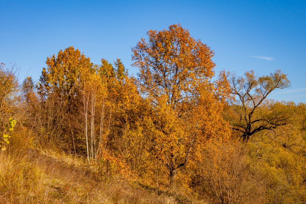 Photograph by Ольга Заповедная