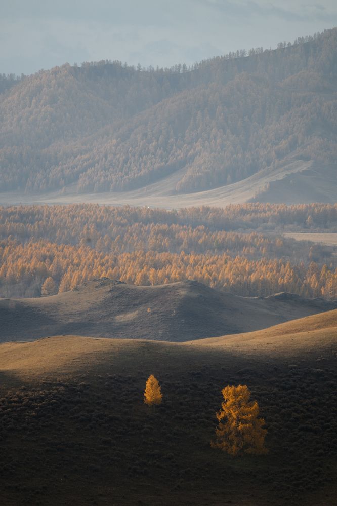 Photograph by Юлия Шустерова