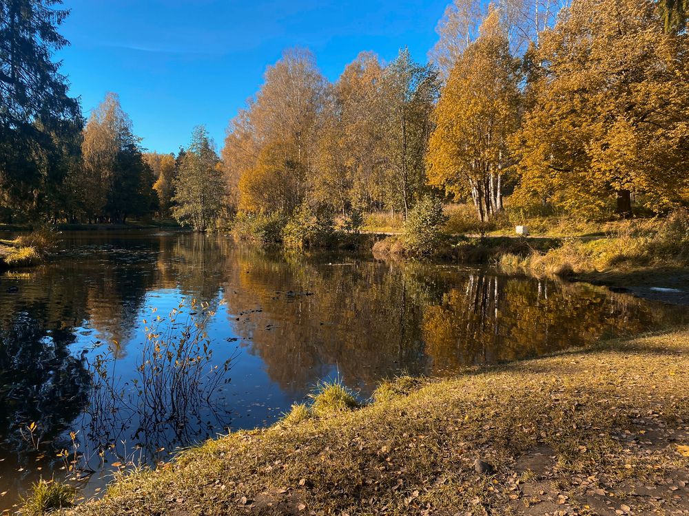 Фотография автора Юлия Назарова