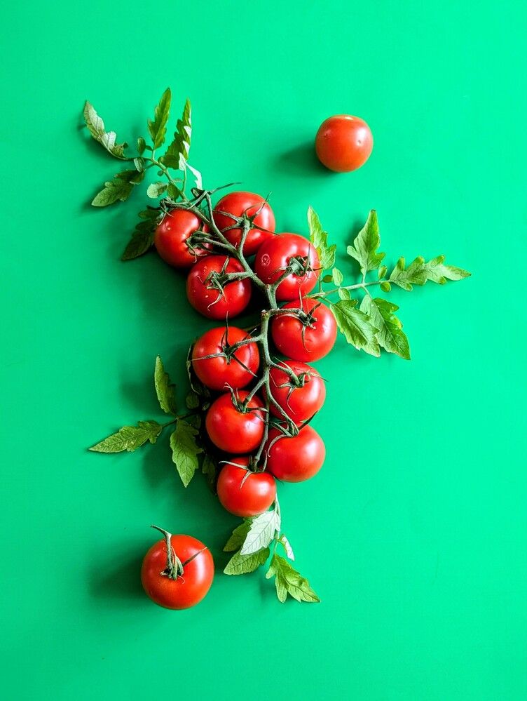 Photograph by Shaila Mahbub