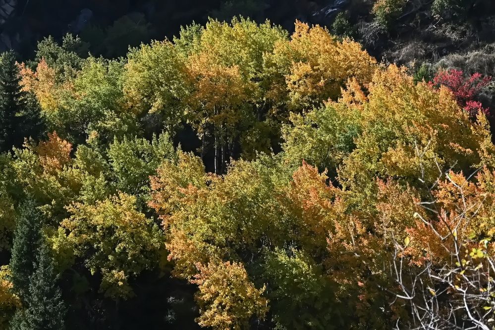 Photograph by Наталья Баранова