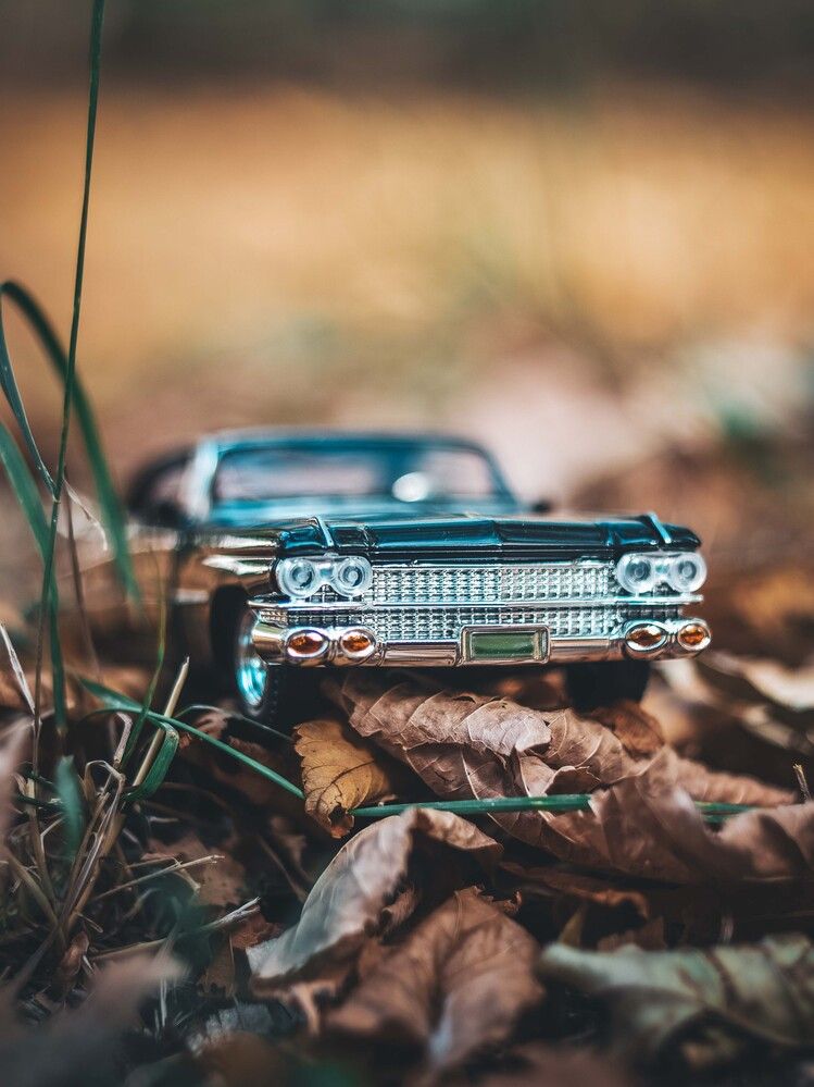 Photograph by Катерина Сорокина