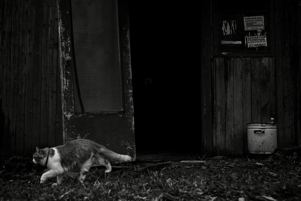 My doors are always open