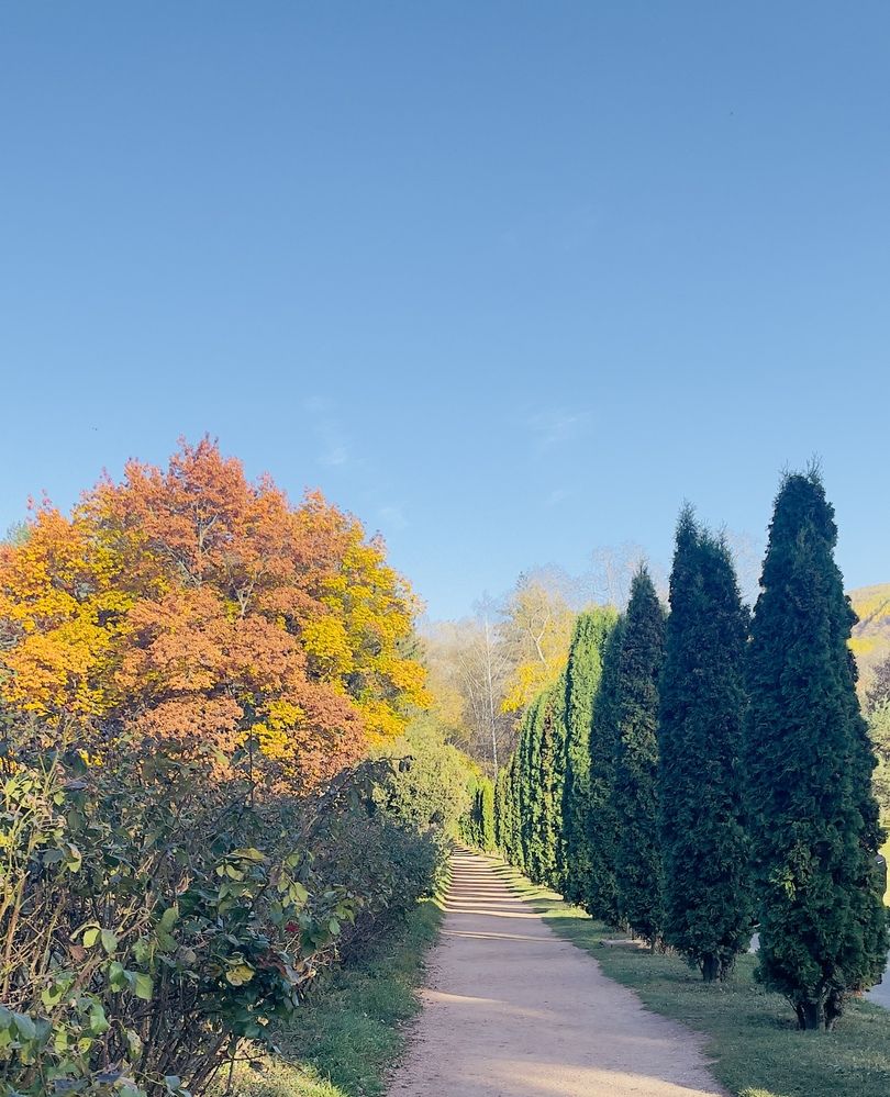 Фотография автора Юлия Новичихина