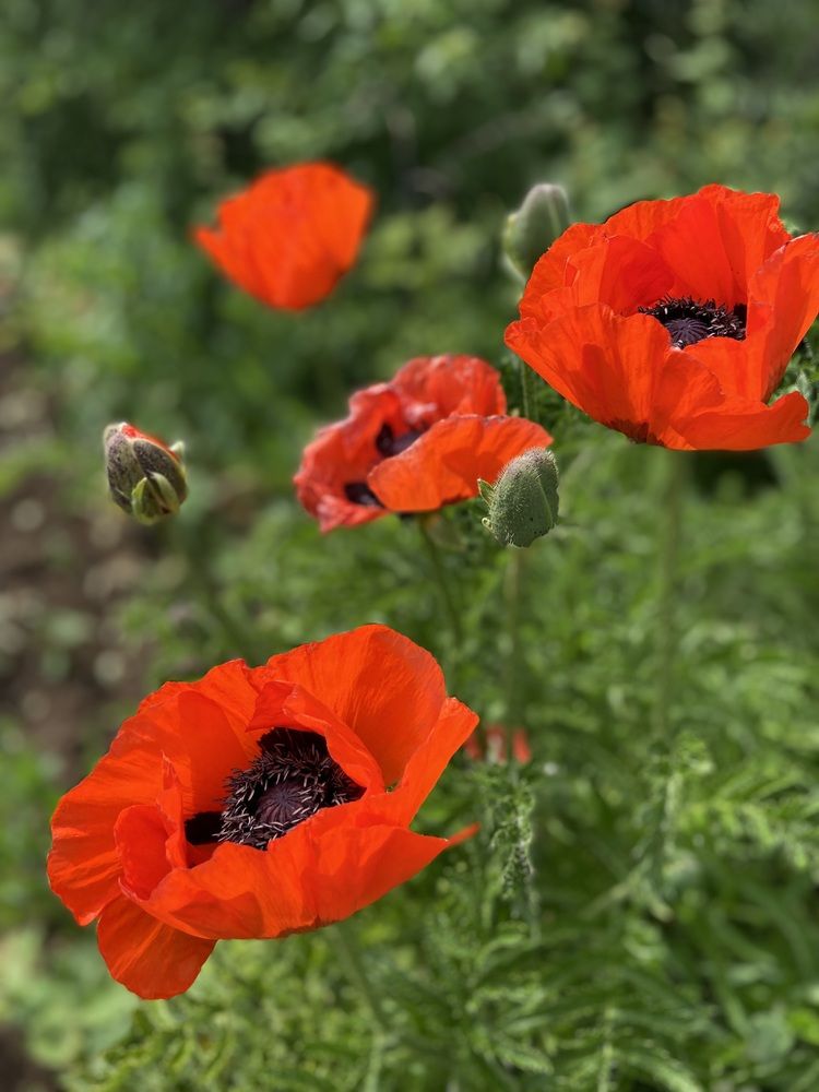 Photograph by Наталья Душакова