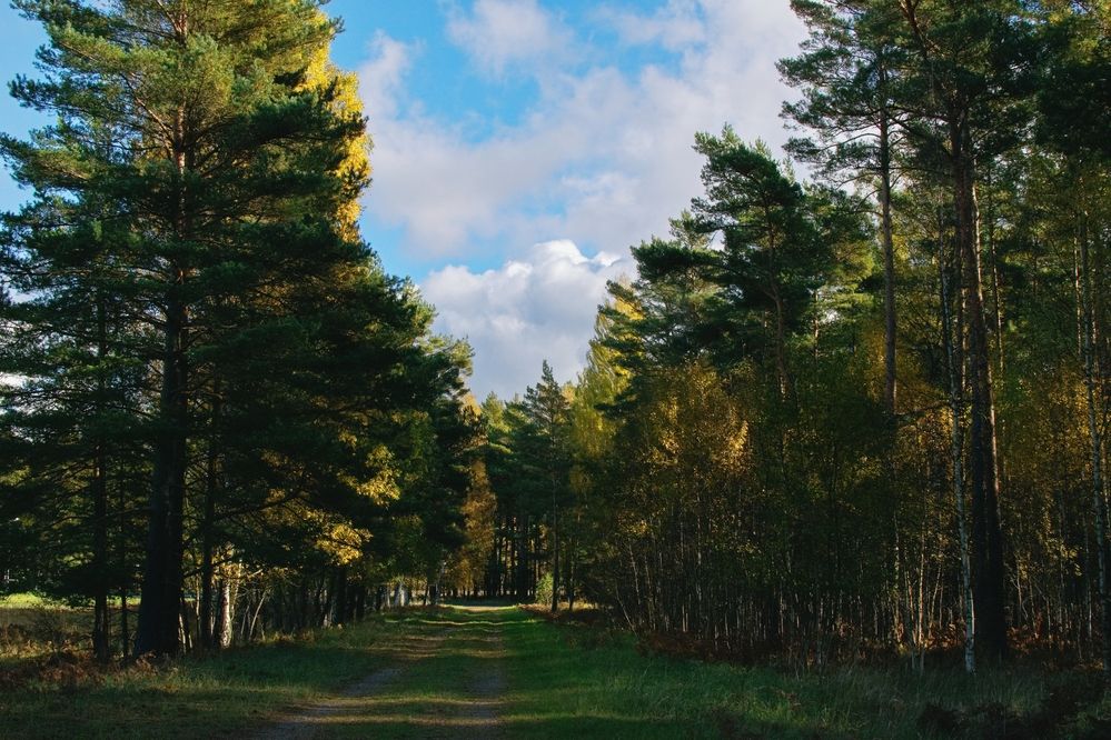 Photograph by Aleksandra Bistrova