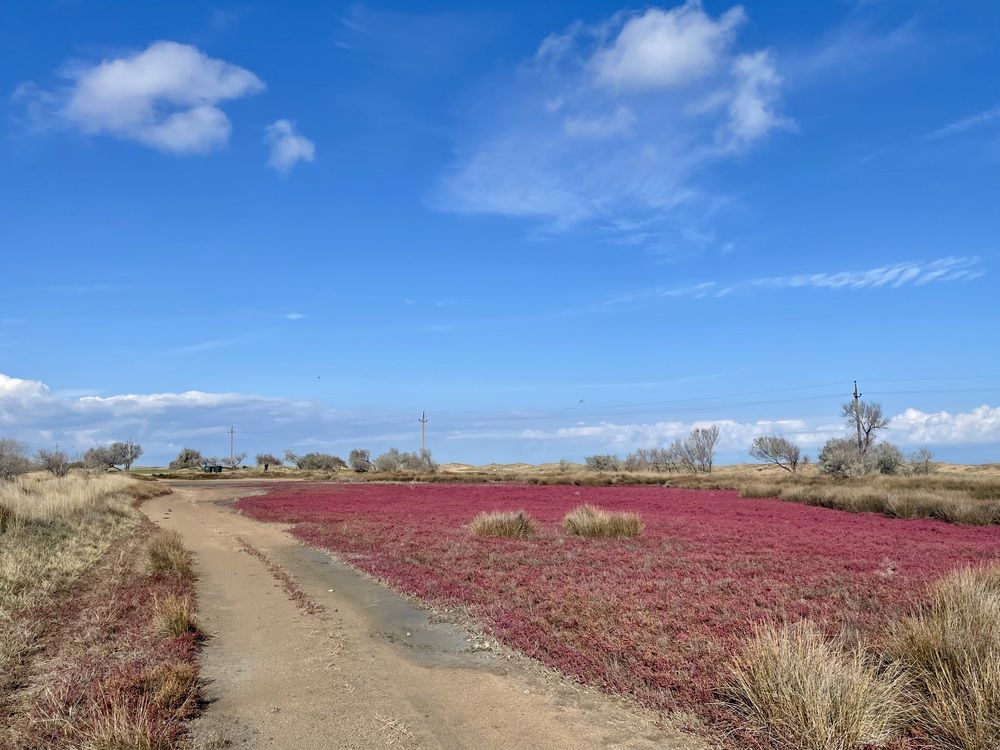 Photograph by Eastpearl