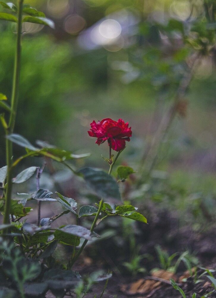 Photograph by Катерина Сорокина