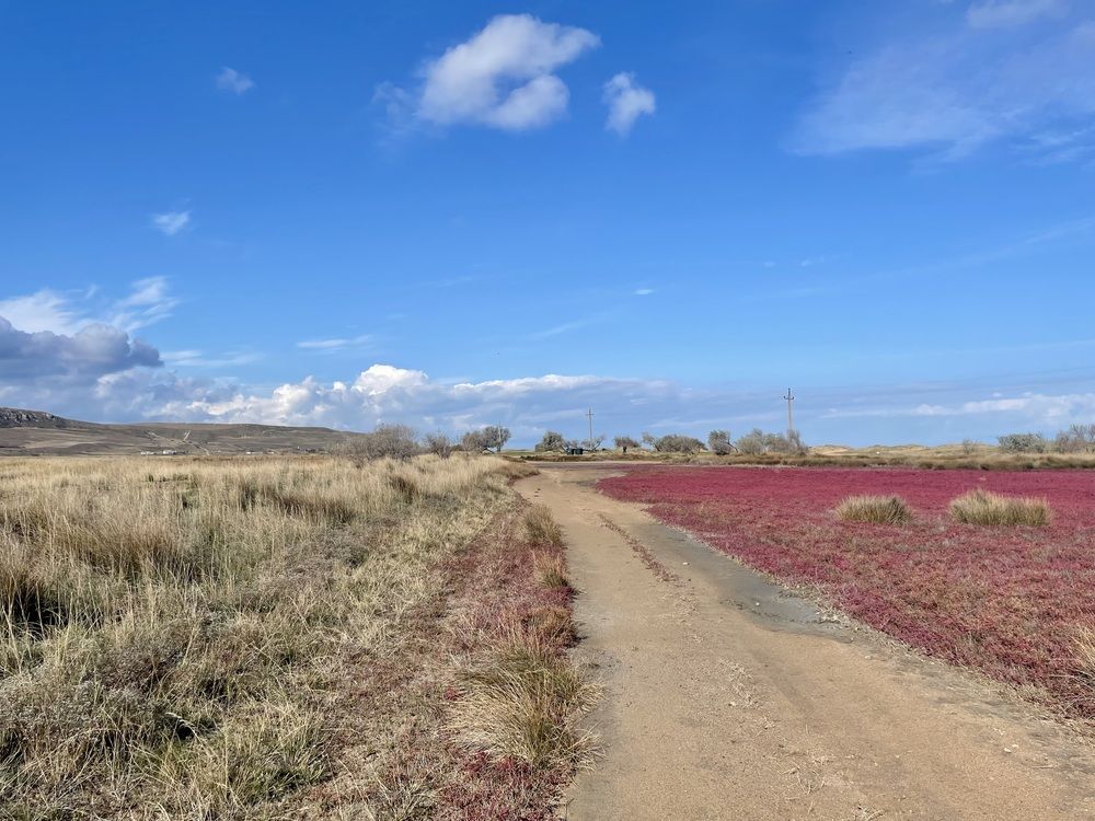 Photograph by Eastpearl