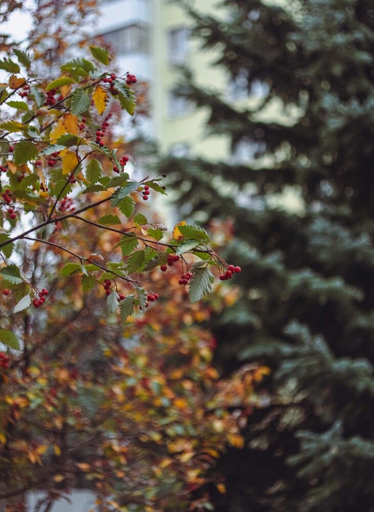 Photograph by Катерина Сорокина