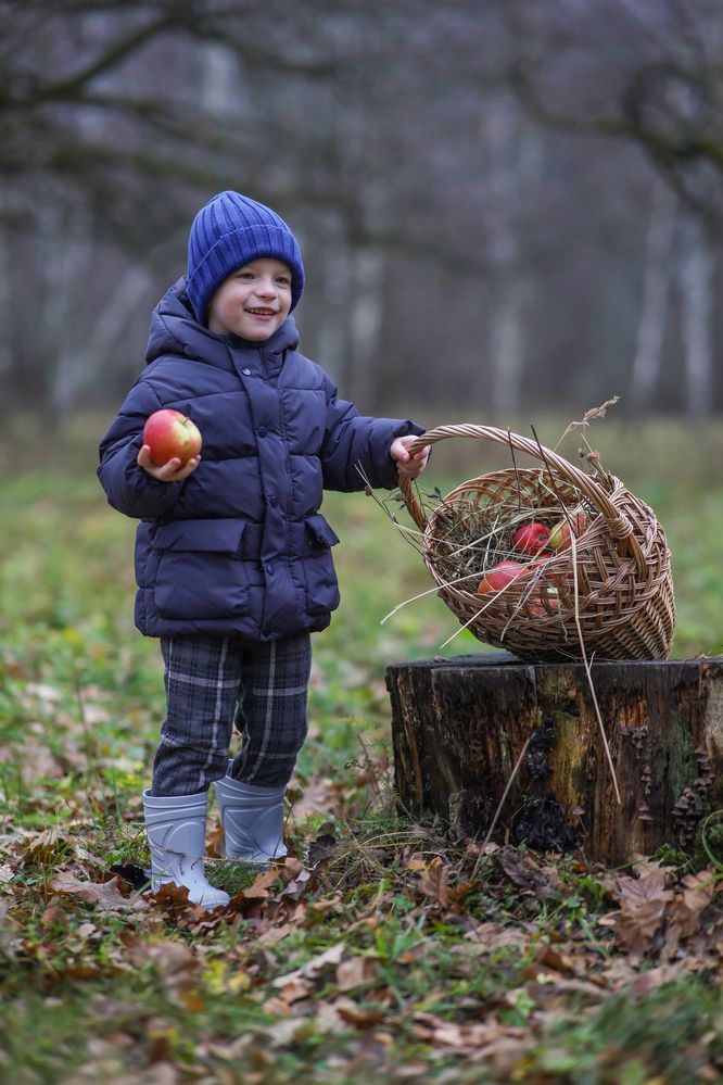 Фотография автора Ольга Кошина