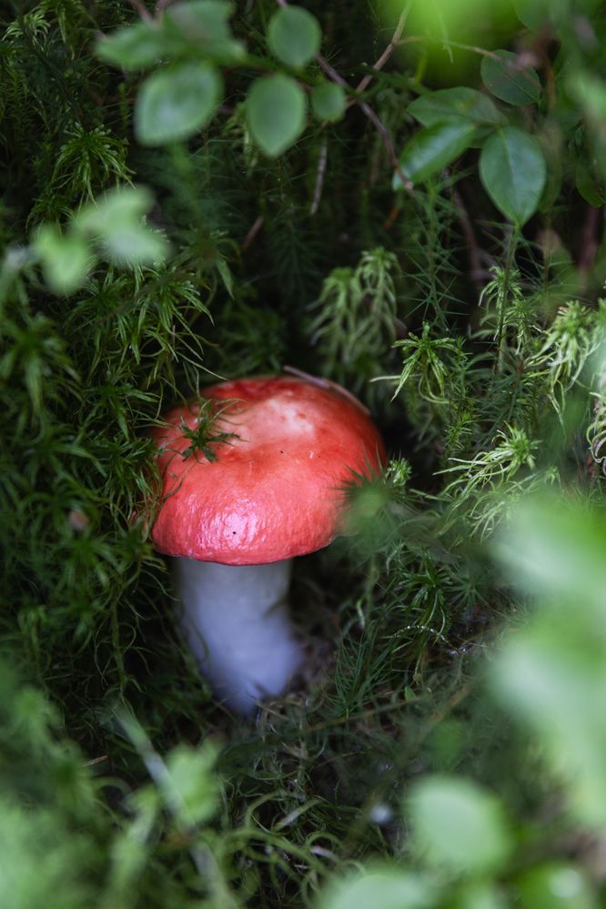 Photograph by Ed Simon