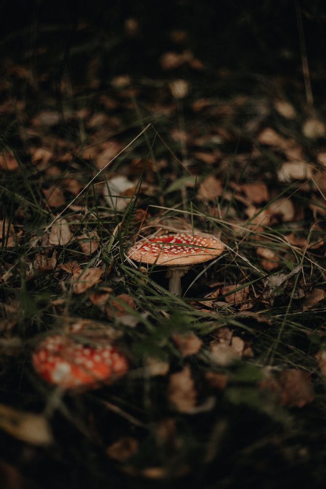 Photograph by Софья Титова