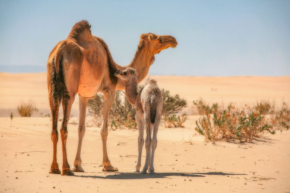 Photograph by Анатолий Фомин