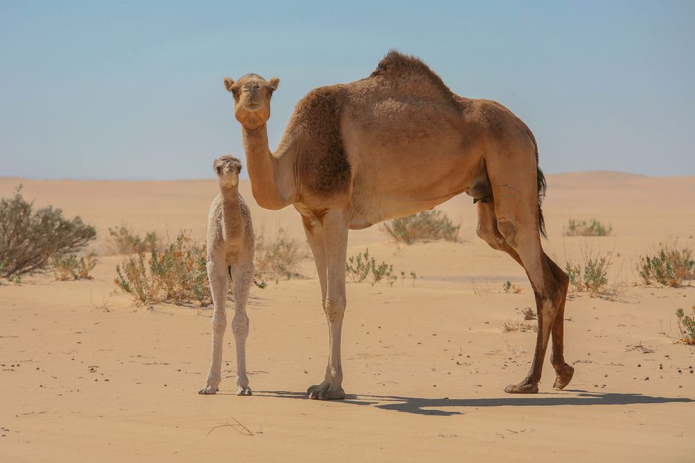 Photograph by Анатолий Фомин