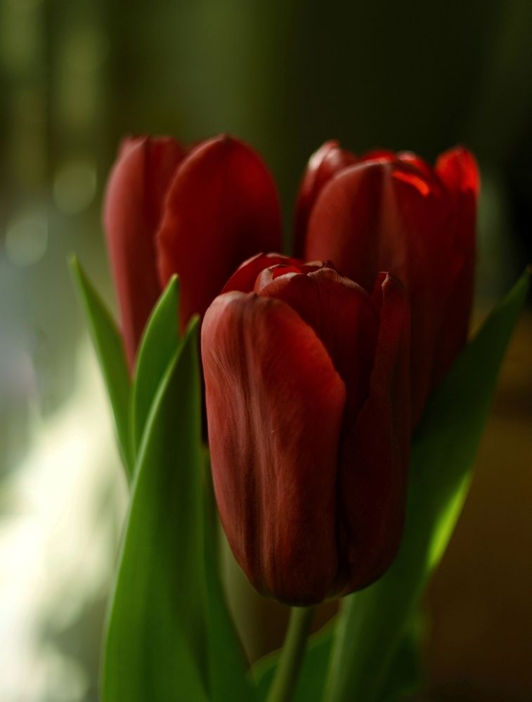 Photograph by Юлия Марфонова