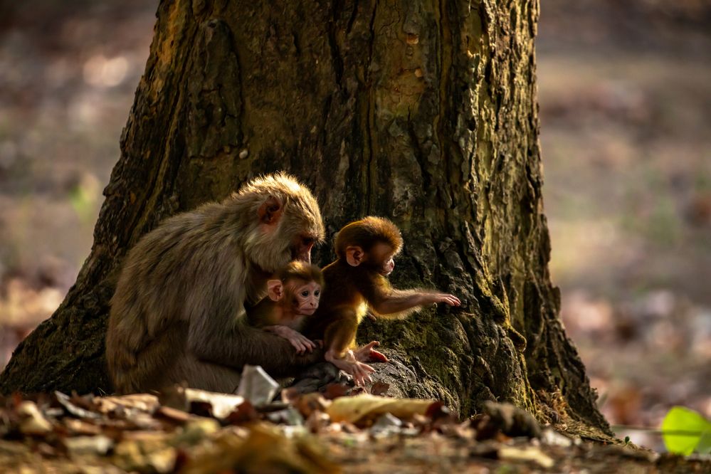 Photograph by Vita Potomova